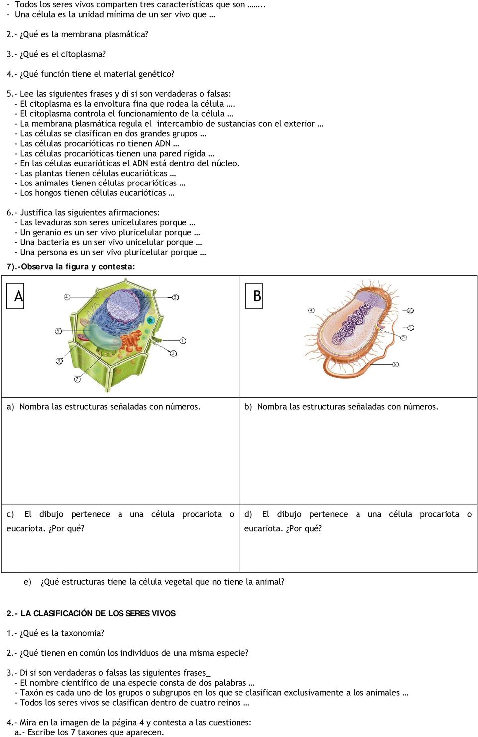 - El citoplasma controla el funcionamiento de la célula - La membrana plasmática regula el intercambio de sustancias con el exterior - Las células se clasifican en dos grandes grupos - Las células