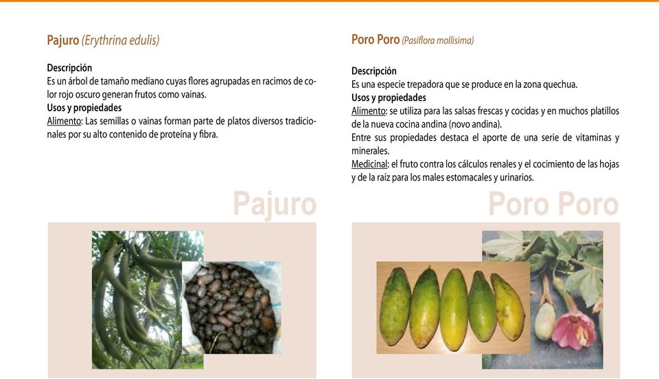 Pajuro Poro Poro (Pasiflora mollisima) Es una especie trepadora que se produce en la zona quechua.