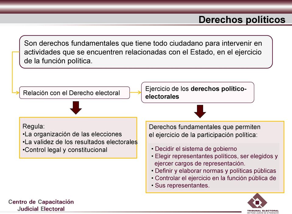 Relación con el Derecho electoral Ejercicio de los derechos políticoelectorales Regula: La organización de las elecciones La validez de los resultados electorales Control