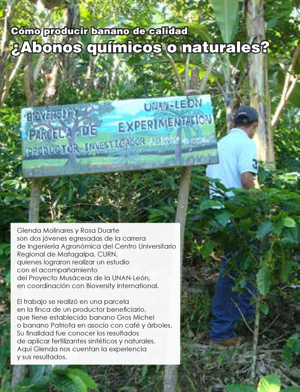 realizar un estudio con el acompañamiento del Proyecto Musáceas de la UNAN-León, en coordinación con Bioversity International.