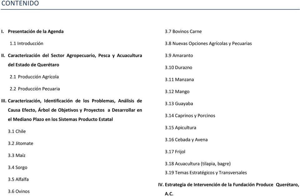 Caracterización, Identificación de los Problemas, Análisis de Causa Efecto, Árbol de Objetivos y Proyectos a Desarrollar en el Mediano Plazo en los Sistemas Producto Estatal 3.1 Chile 3.