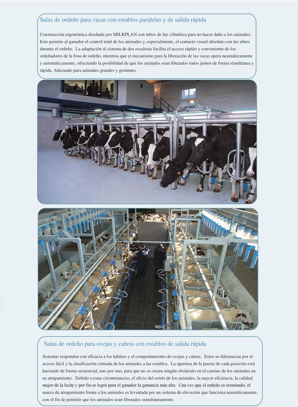 La adaptación al sistema de dos escaleras facilita el acceso rápido y conveniente de los ordeñadores de la fosa de ordeño, mientras que el mecanismo para la liberación de las vacas opera
