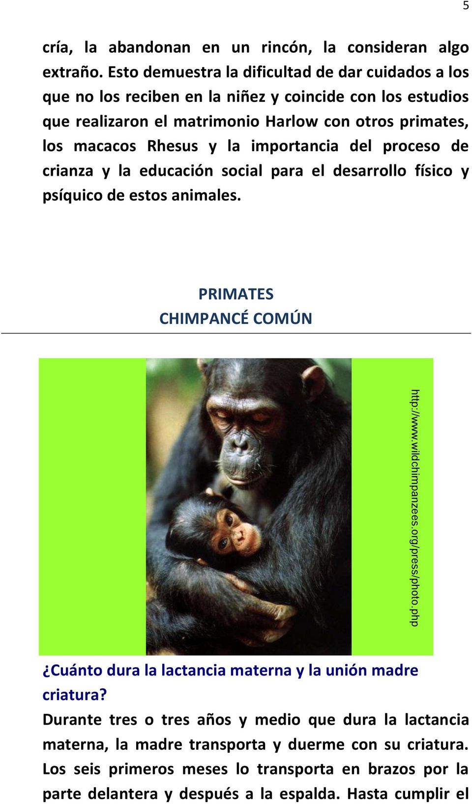 Rhesus y la importancia del proceso de crianza y la educación social para el desarrollo físico y psíquico de estos animales. PRIMATES CHIMPANCÉ COMÚN http://www.wildchimpanzees.
