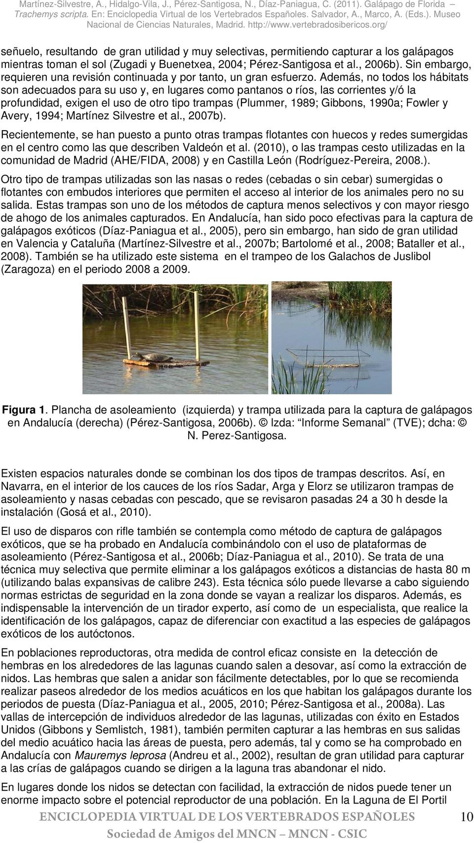 Además, no todos los hábitats son adecuados para su uso y, en lugares como pantanos o ríos, las corrientes y/ó la profundidad, exigen el uso de otro tipo trampas (Plummer, 1989; Gibbons, 1990a;