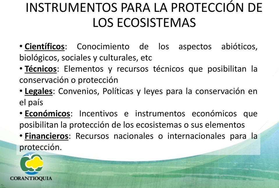 Convenios, Políticas y leyes para la conservación en el país Económicos: Incentivos e instrumentos económicos que