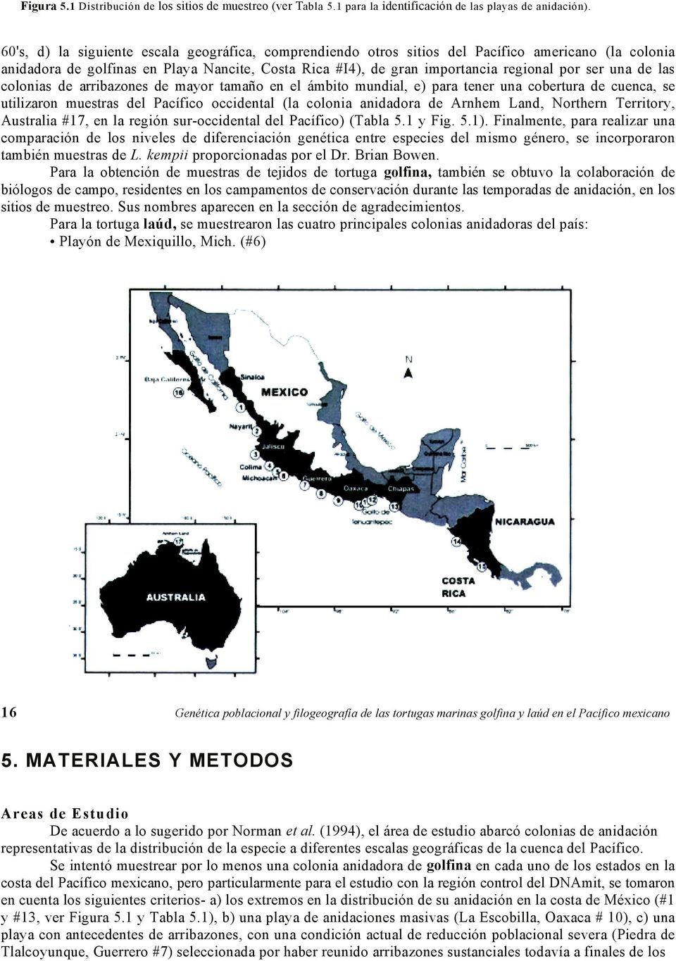 una de las colonias de arribazones de mayor tamaño en el ámbito mundial, e) para tener una cobertura de cuenca, se utilizaron muestras del Pacífico occidental (la colonia anidadora de Arnhem Land,