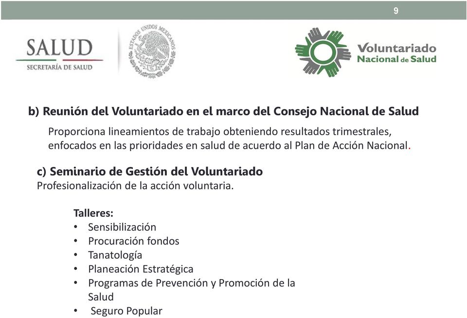 c) Seminario de Gestión del Voluntariado Profesionalización de la acción voluntaria.