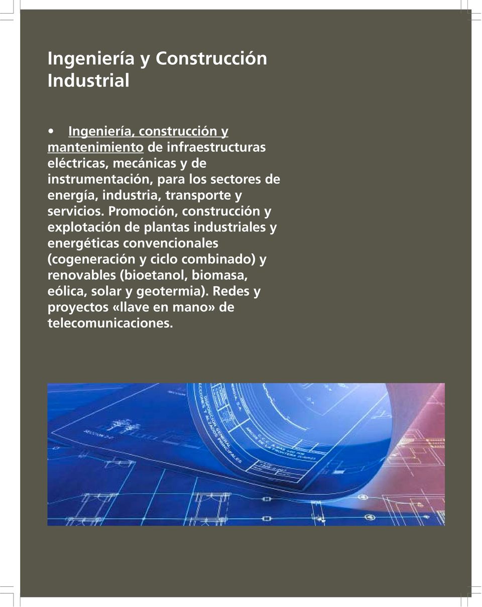 Promoción, construcción y explotación de plantas industriales y energéticas convencionales (cogeneración y ciclo
