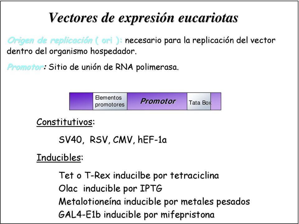 Constitutivos: Elementos promotores Promotor Tata Box SV40, RSV, CMV, hef-1a Inducibles: Tet o T-Rex T