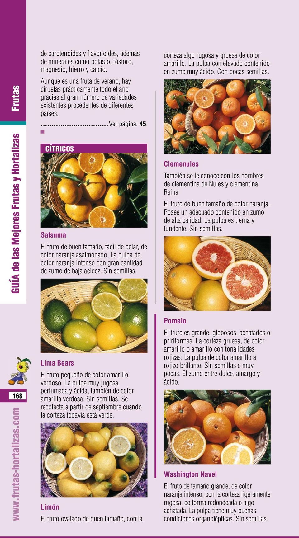 ...ver página: 45 CÍTRICOS Satsuma El fruto de buen tamaño, fácil de pelar, de color naranja asalmonado. La pulpa de color naranja intenso con gran cantidad de zumo de baja acidez. Sin semillas.