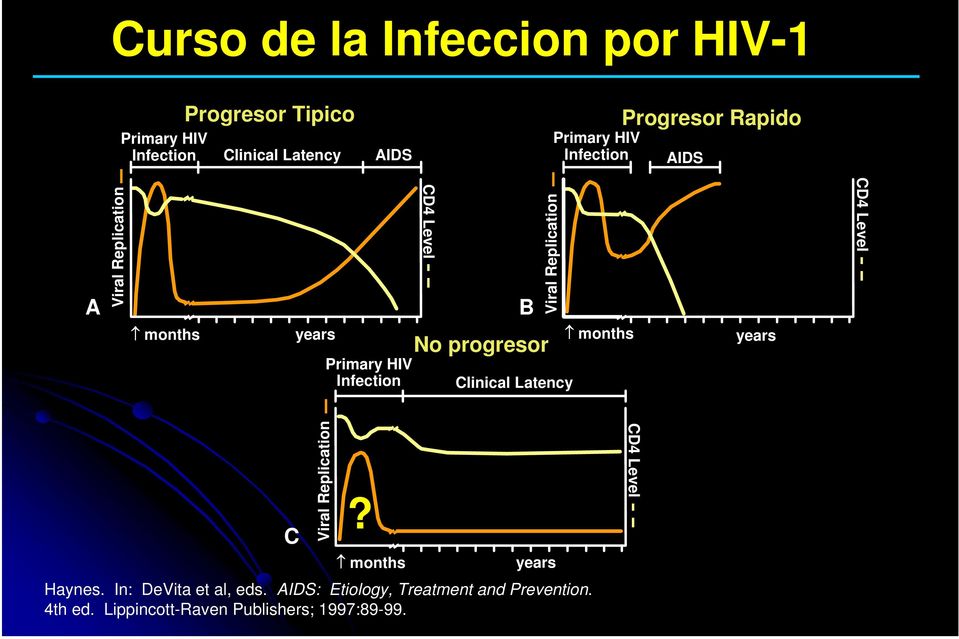 progresor Viral Replication Clinical Latency months years CD4 Level C Viral Replication months years Haynes.