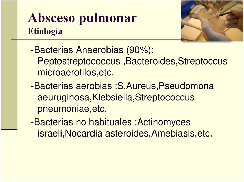 -Bacterias aerobias :S.