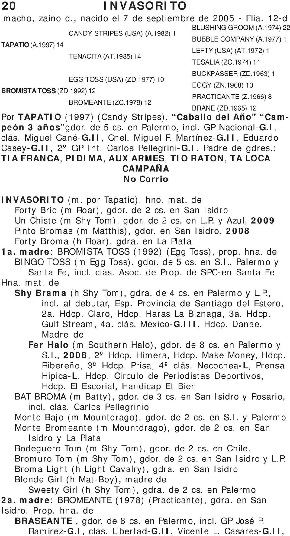 1978) 12 BRANE (ZD.1965) 12 Por TAPATIO (1997) (Candy Stripes), Caballo del Año Campeón 3 años gdor. de 5 cs. en Palermo, incl. GP Nacional-G.I, clás. Miguel Cané-G.II, Cnel. Miguel F. Martínez-G.