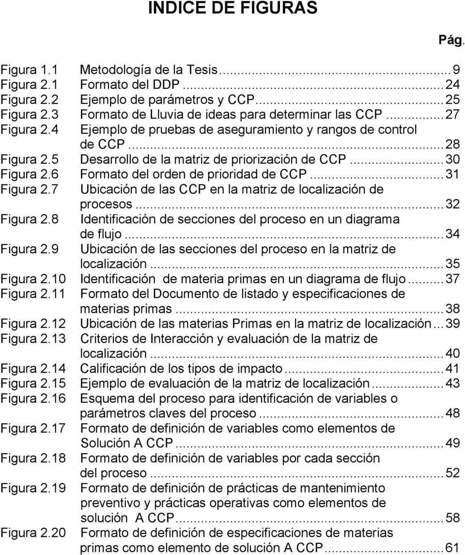 .. 30 Figura 2.6 Formato del orden de prioridad de CCP... 31 Figura 2.7 Ubicación de las CCP en la matriz de localización de procesos... 32 Figura 2.