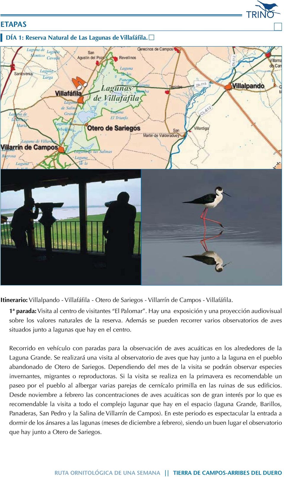 Además se pueden recorrer varios observatorios de aves situados junto a lagunas que hay en el centro.