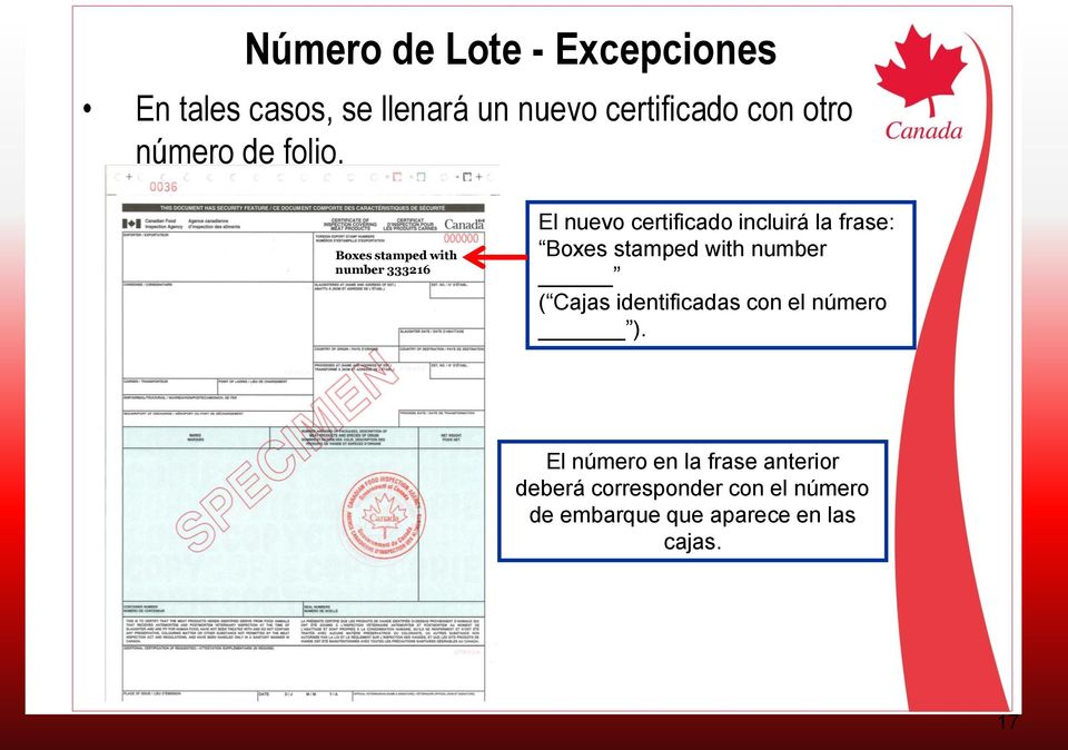 Boxes stamped with number 333216 El nuevo certificado incluirá la frase: Boxes stamped