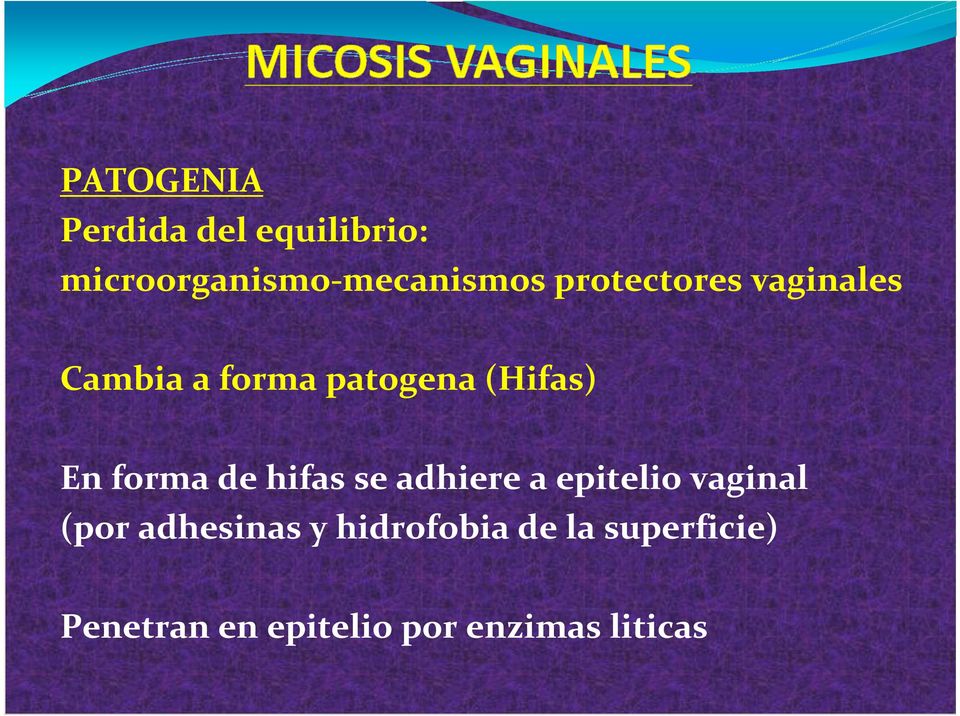 forma de hifas se adhiere a epitelio vaginal (por adhesinas y