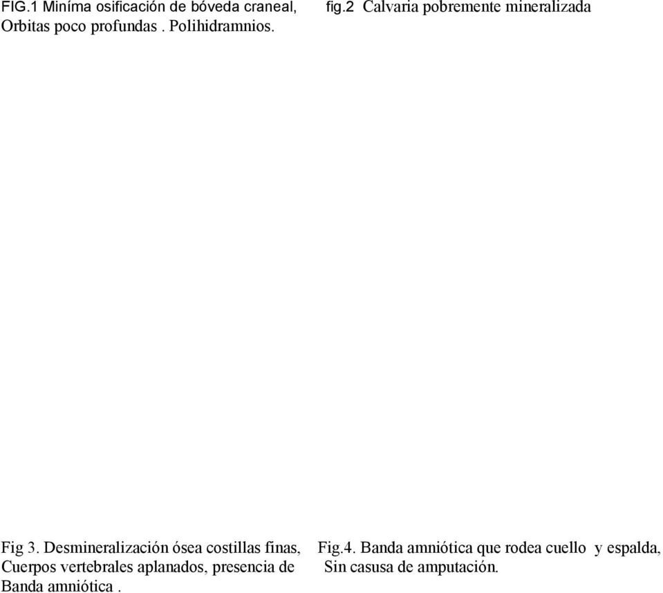Desmineralización ósea costillas finas, Fig.4.