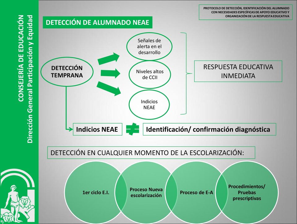 Identificación/ confirmación diagnóstica DETECCIÓN EN CUALQUIER MOMENTO DE LA