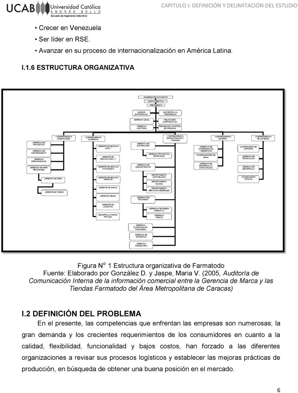 (2005, Auditoría de Comunicación Interna de la información comercial entre la Gerencia de Marca y las Tiendas Farmatodo del Área Metropolitana de Caracas) I.