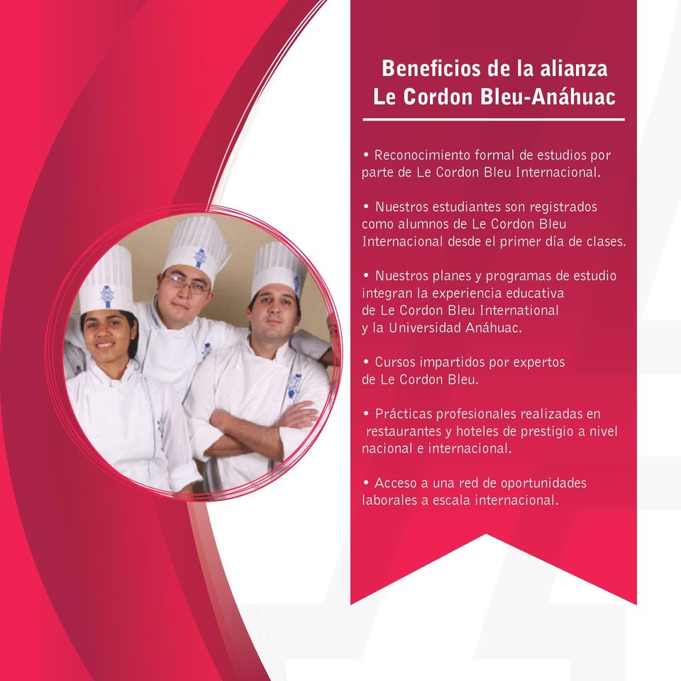 Nuestros planes y programas de estudio integran la experiencia educativa de Le Cordon Bleu International y la Universidad Anáhuac.