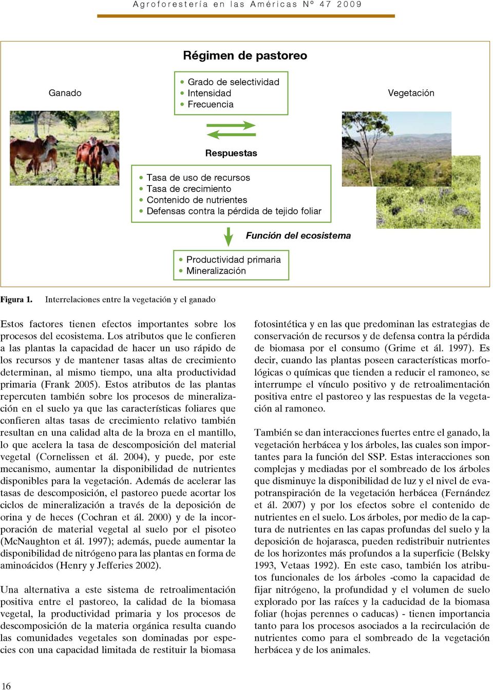 Interrelaciones entre la vegetación y el ganado Estos factores tienen efectos importantes sobre los procesos del ecosistema.