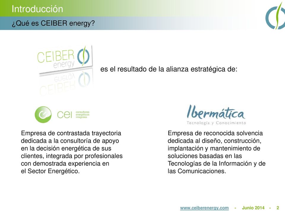 decisión energética de sus clientes, integrada por profesionales con demostrada experiencia en el Sector Energético.