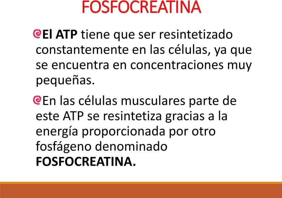 En las células musculares parte de este ATP se resintetiza gracias
