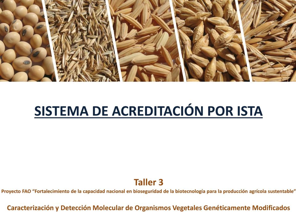bioseguridad de la biotecnología para la producción agrícola sustentable