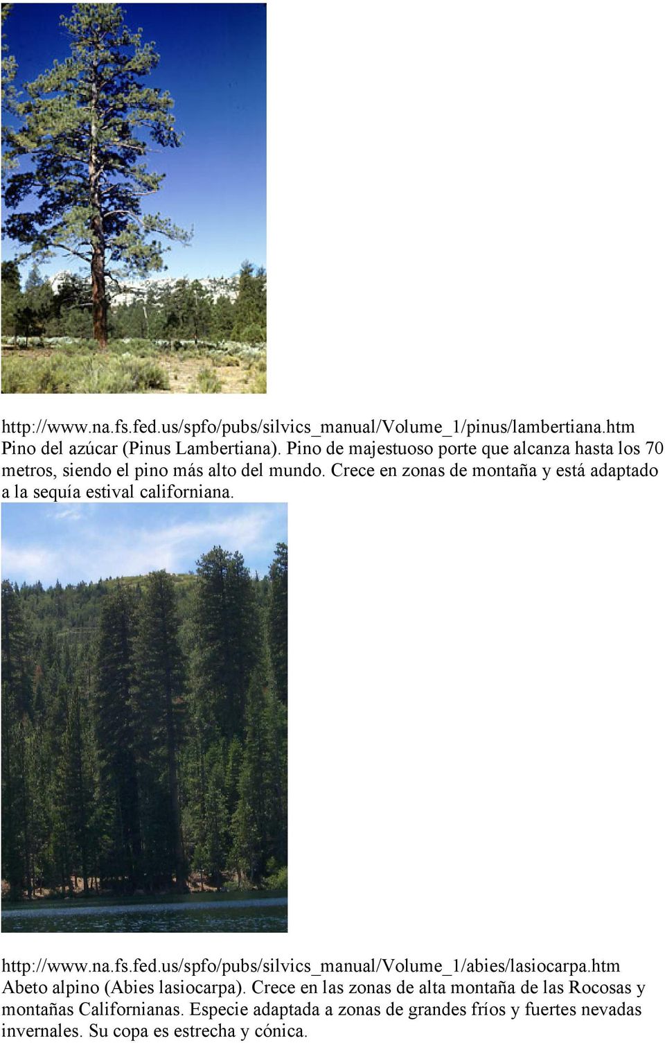 Crece en zonas de montaña y está adaptado a la sequía estival californiana. http://www.na.fs.fed.