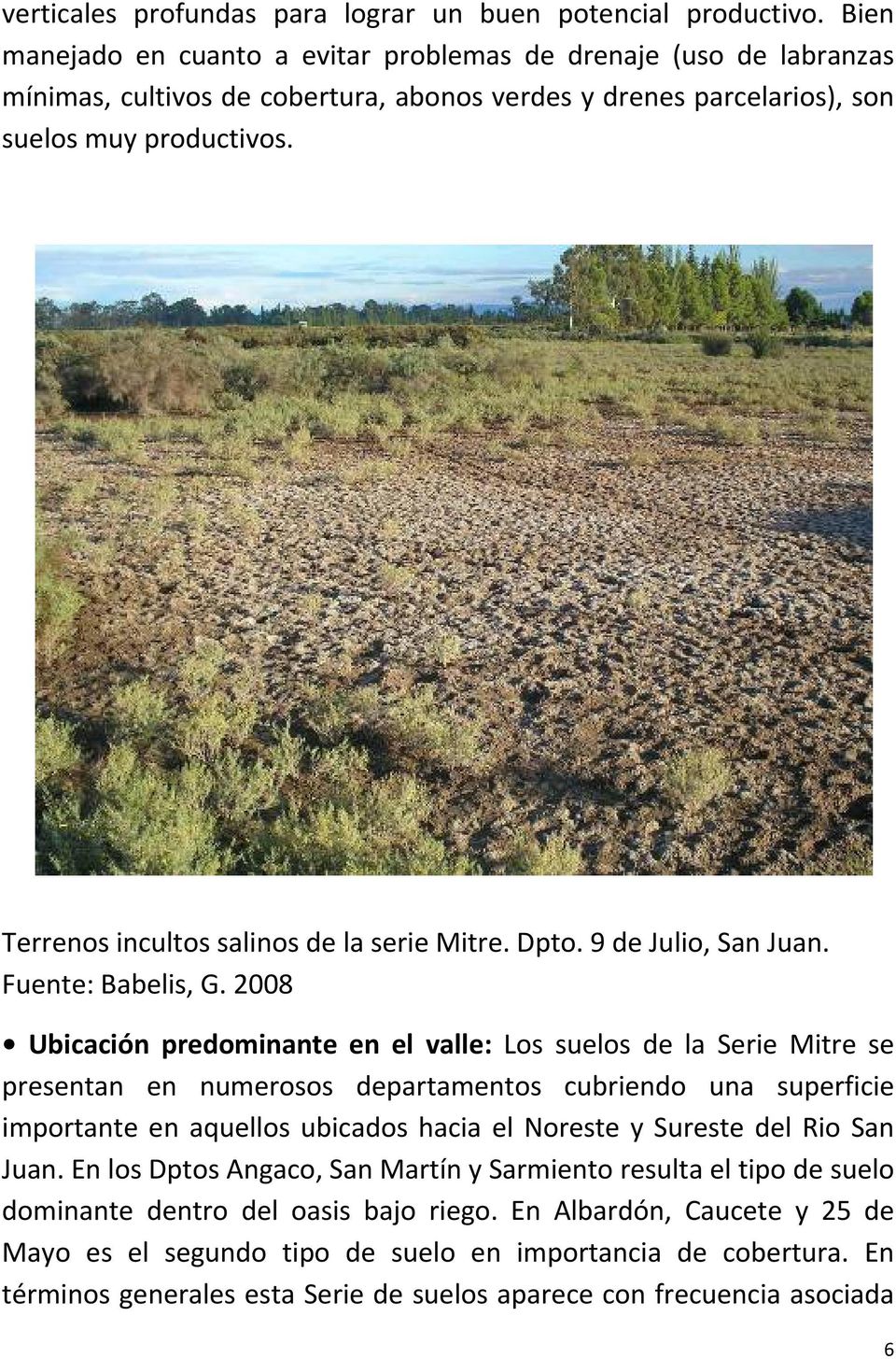 Terrenos incultos salinos de la serie Mitre. Dpto. 9 de Julio, San Juan. Fuente: Babelis, G.