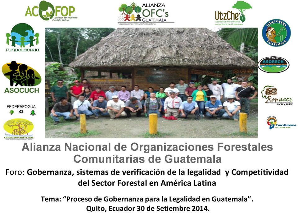 Competitividad del Sector Forestal en América Latina Tema: Proceso de