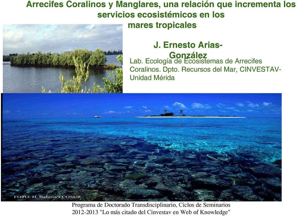Ecología de Ecosistemas de Arrecifes Coralinos. Dpto.