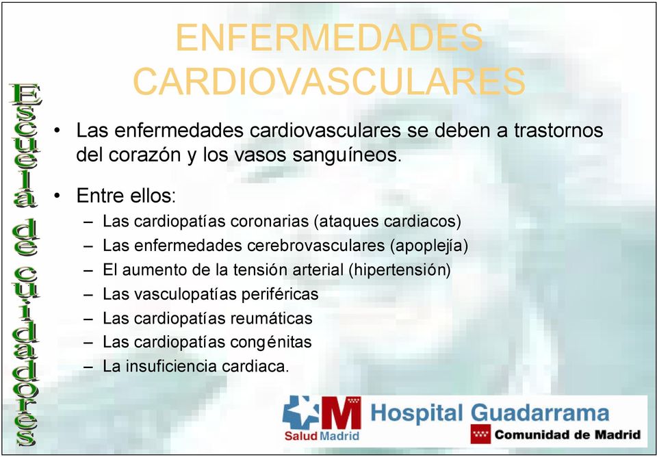 Entre ellos: Las cardiopatías coronarias (ataques cardiacos) Las enfermedades cerebrovasculares