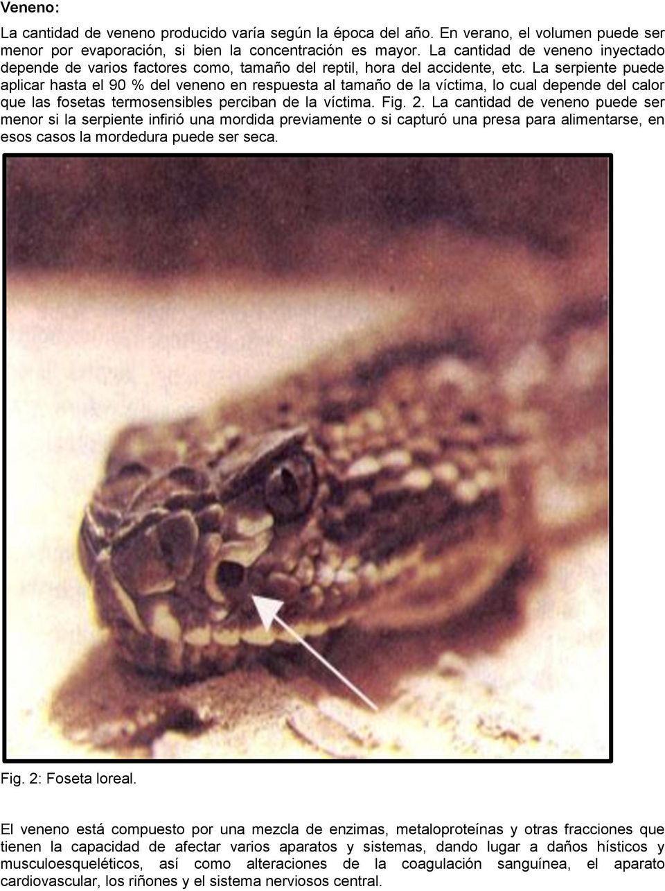 La serpiente puede aplicar hasta el 90 % del veneno en respuesta al tamaño de la víctima, lo cual depende del calor que las fosetas termosensibles perciban de la víctima. Fig. 2.