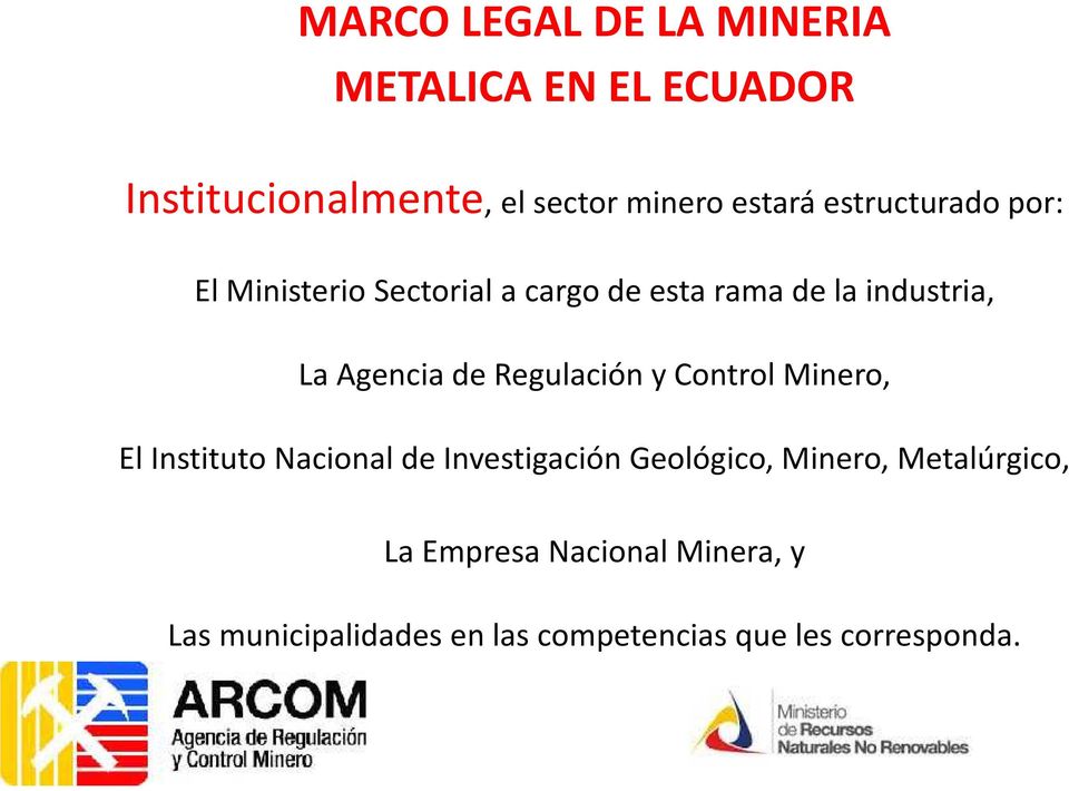 Regulación y Control Minero, El Instituto Nacional de Investigación Geológico, Minero,