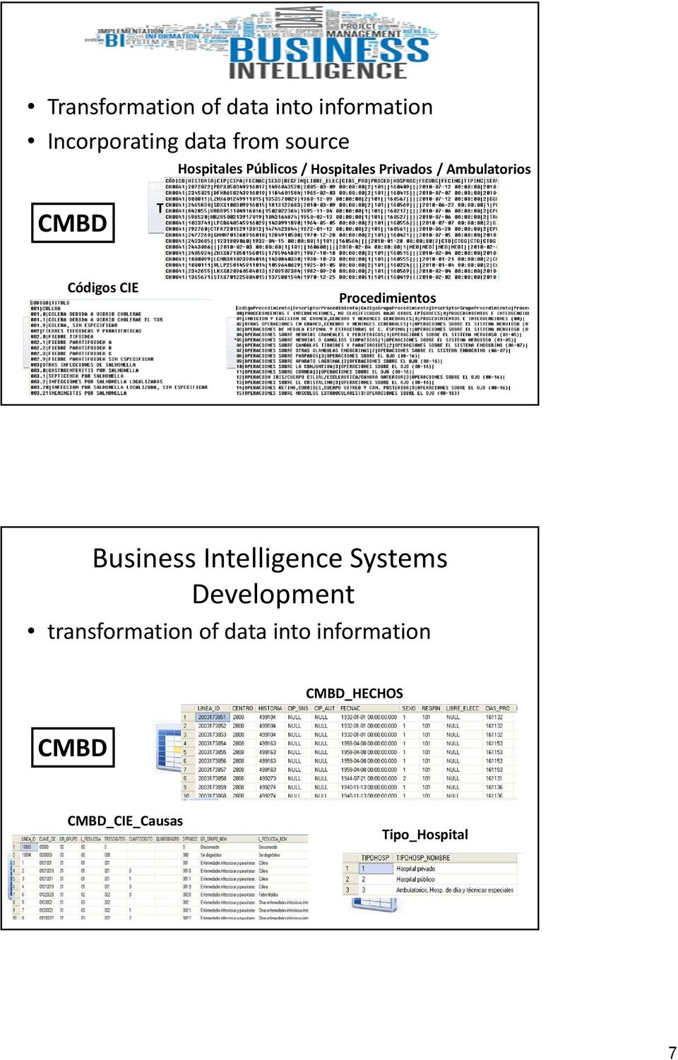 CIE Procedimientos TXT TXT Business Intelligence Systems Development