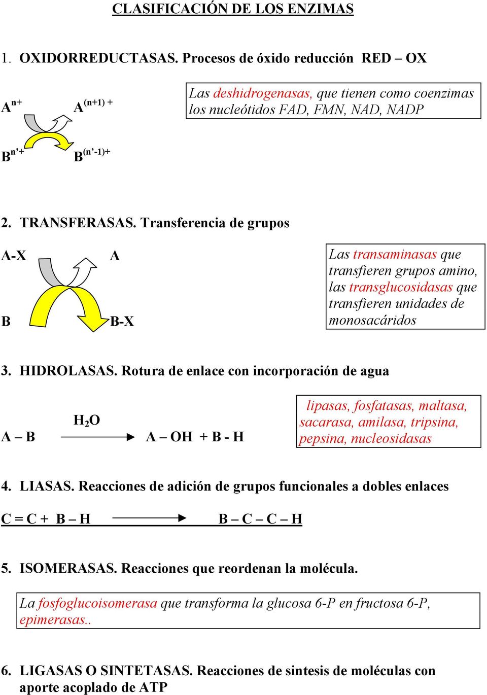 Transferencia de grupos A-X B A B-X Las transaminasas que transfieren grupos amino, las transglucosidasas que transfieren unidades de monosacáridos 3. HIDROLASAS.