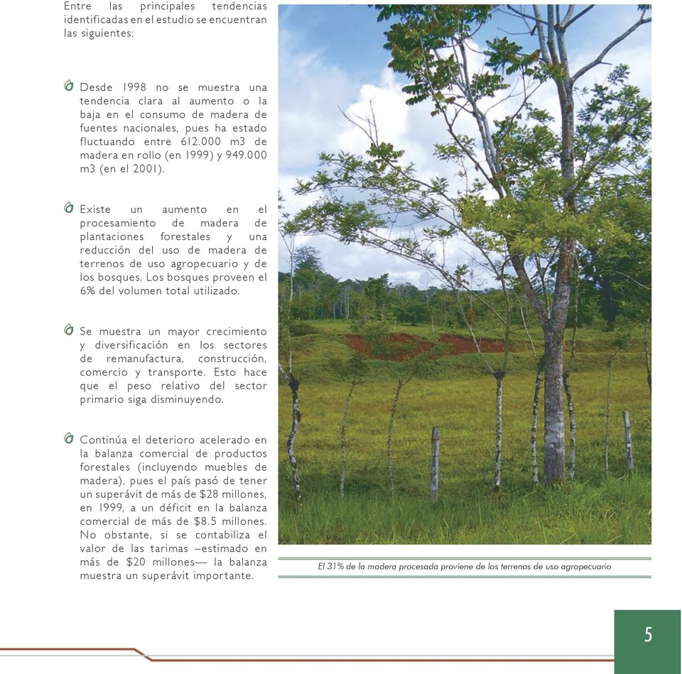 Existe un aumento en el procesamiento de madera de plantaciones forestales y una reducción del uso de madera de terrenos de uso agropecuario y de los bosques.