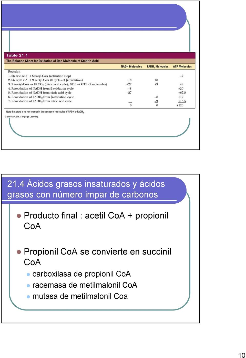 Propionil CoA se convierte en succinil CoA carboxilasa de