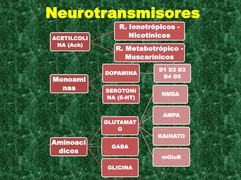 Metabotrópico - Muscarínicos Monoami nas DOPAMINA