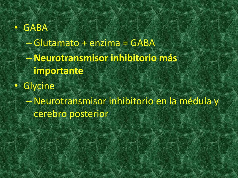 importante Glycine Neurotransmisor