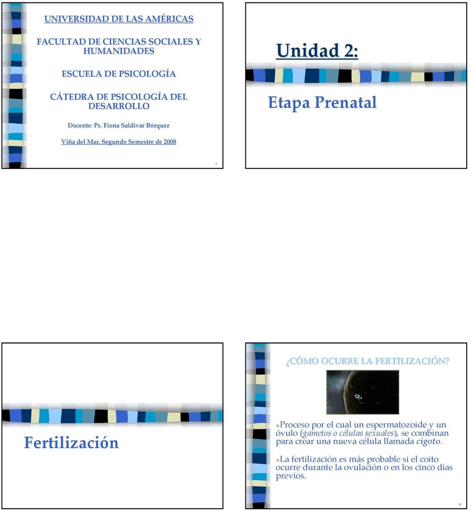 Fertilización Proceso por el cual un espermatozoide y un óvulo (gametos o células sexuales), se combinan para
