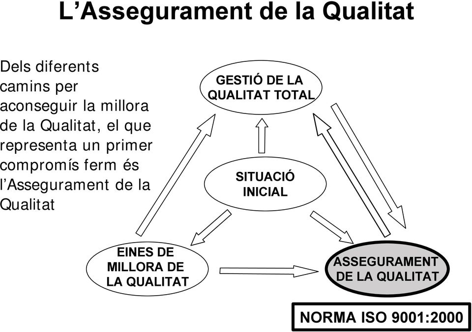 Assegurament de la Qualitat GESTIÓ DE LA QUALITAT TOTAL SITUACIÓ INICIAL