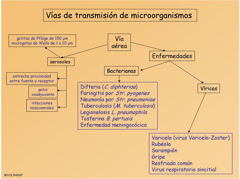 pyogenes Neumonía por Str. pneumoniae Tuberculosis (M. tuberculosis) Legionelosis L. pneumophila Tosferina B.