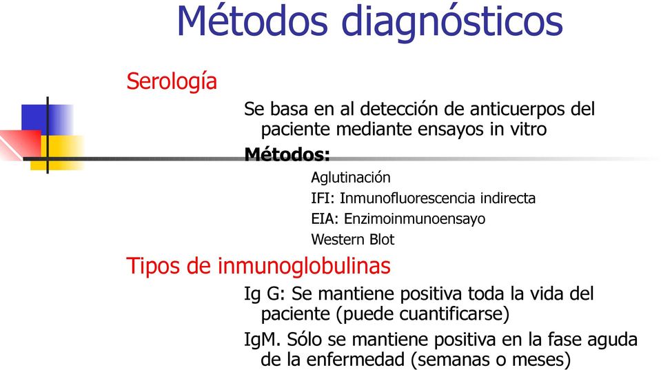 Enzimoinmunoensayo Western Blot Tipos de inmunoglobulinas Ig G: Se mantiene positiva toda la