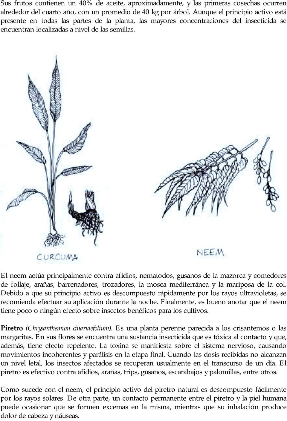 El neem actúa principalmente contra afidios, nematodos, gusanos de la mazorca y comedores de follaje, arañas, barrenadores, trozadores, la mosca mediterránea y la mariposa de la col.