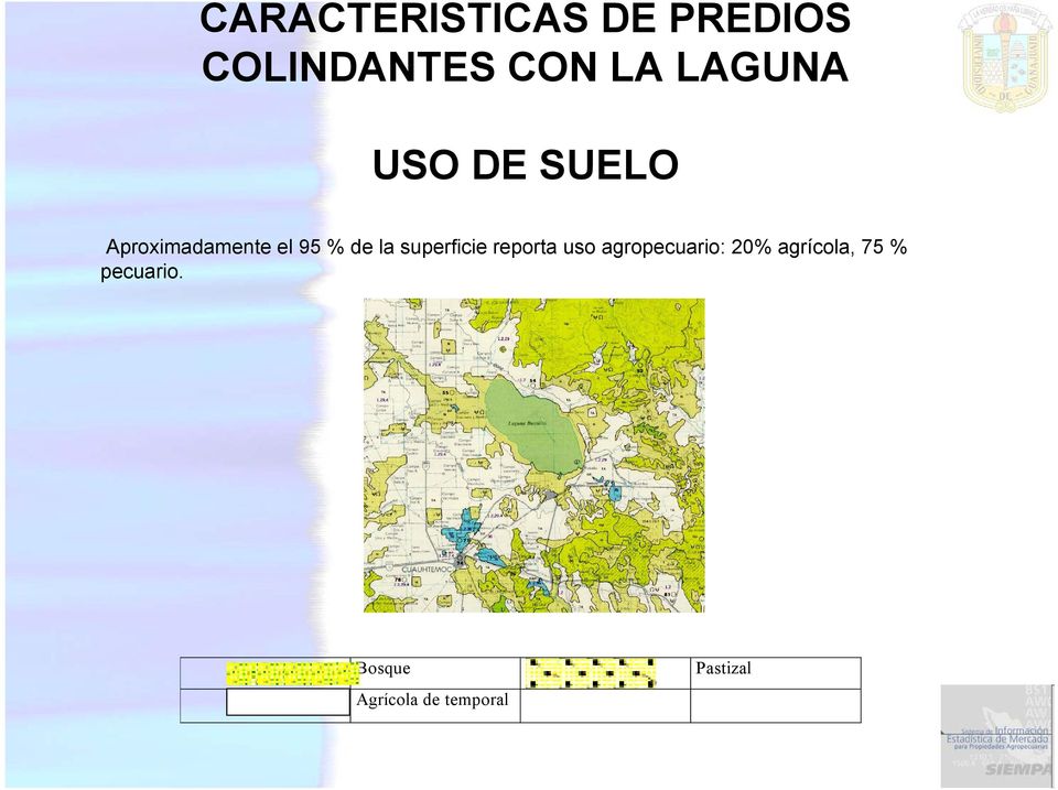 superficie reporta uso agropecuario: 20%