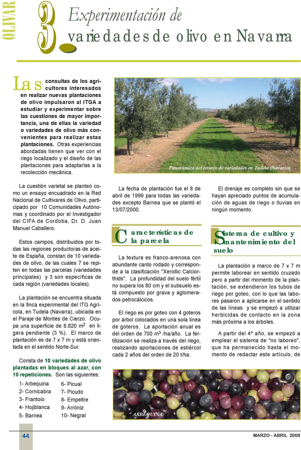 Otras experiencias abordadas tienen que ver con el riego localizado y el diseño de las plantaciones para adaptarlas a la recolección mecánica. Panorámica del ensayo de variedades en Tudela (Navarra).