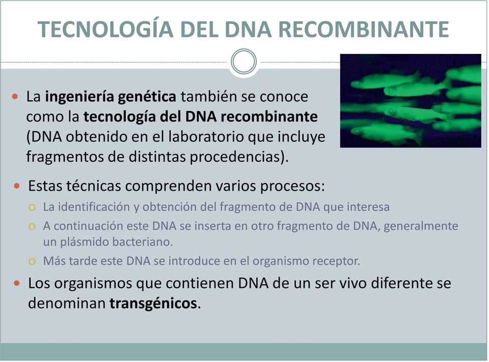 Estas técnicas comprenden varios procesos: La identificación y obtención del fragmento de DNA que interesa A continuación este DNA se